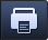 icon-print